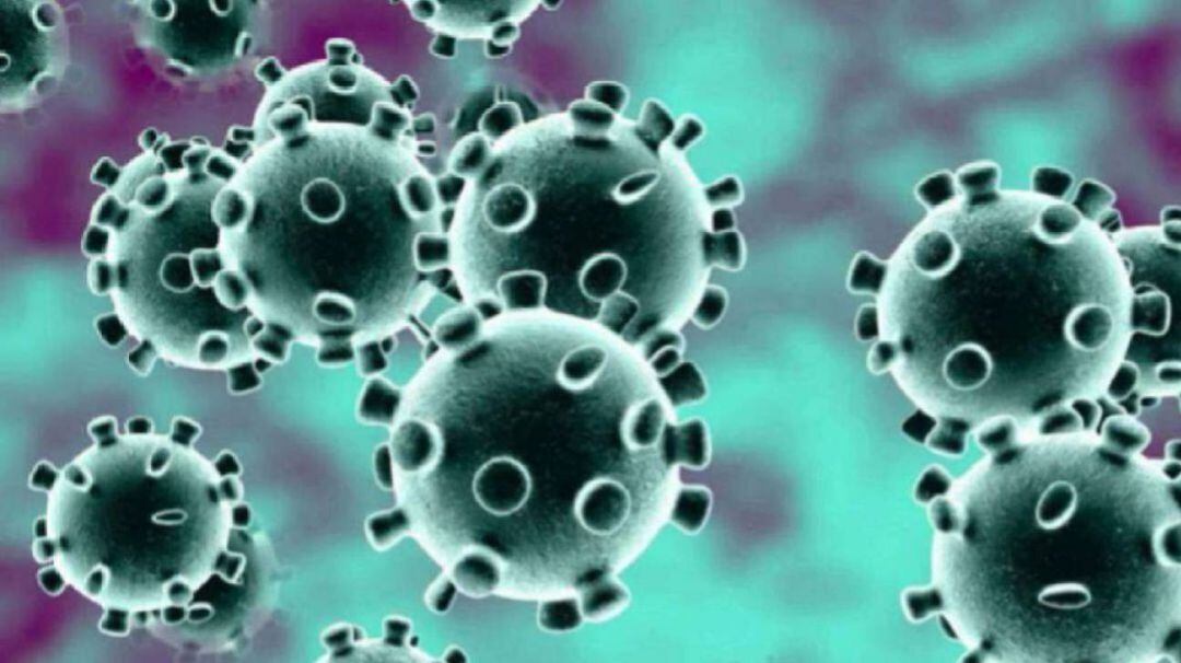 Datos sobre la evolución de la pandemia de COVID-19 en Palencia