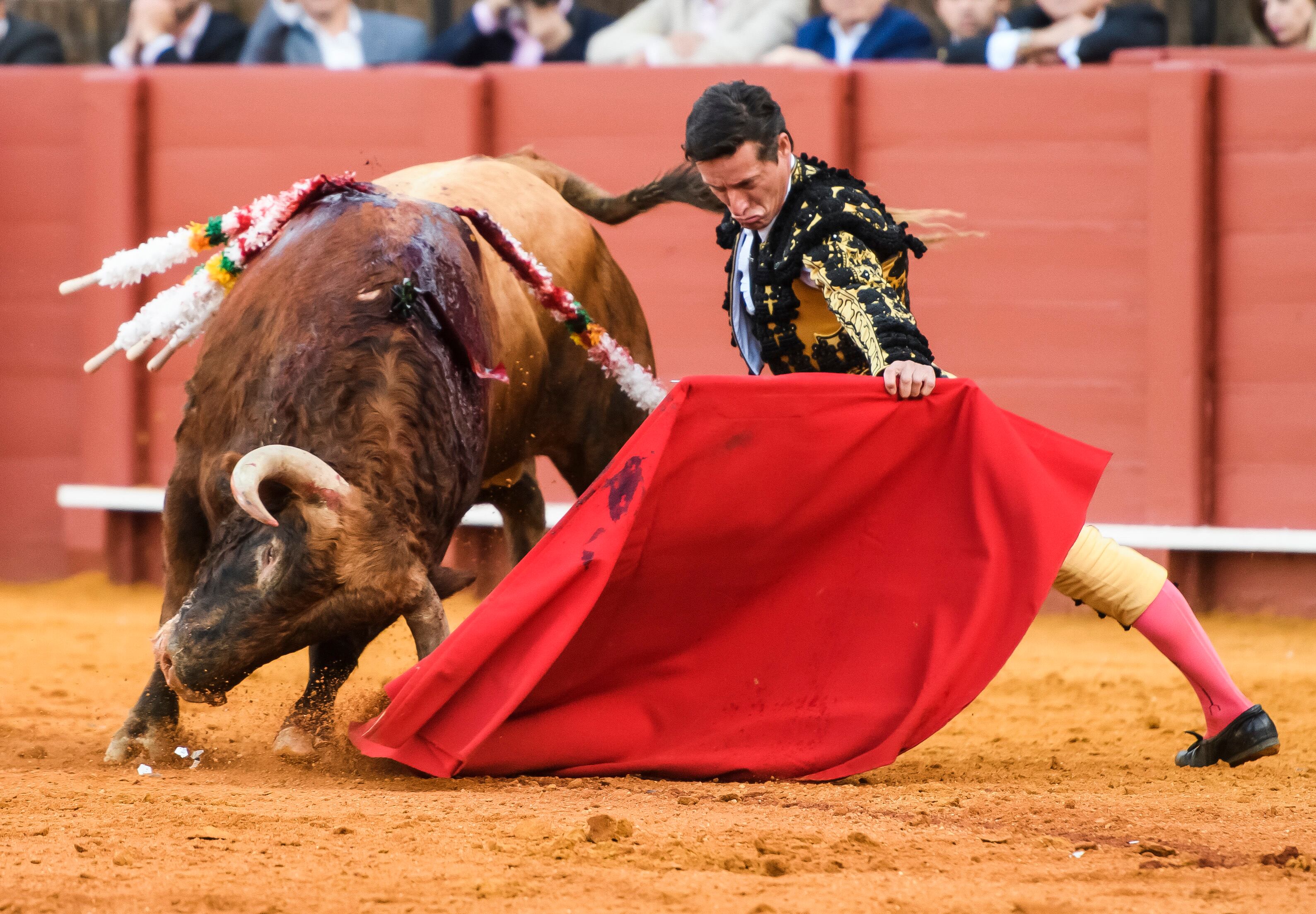 SEVILLA, 21/04/2023.- El diestro Diego Urdiales con su segundo toro, este viernes en la Real Maestranza de Sevilla. EFE/ Raúl Caro
