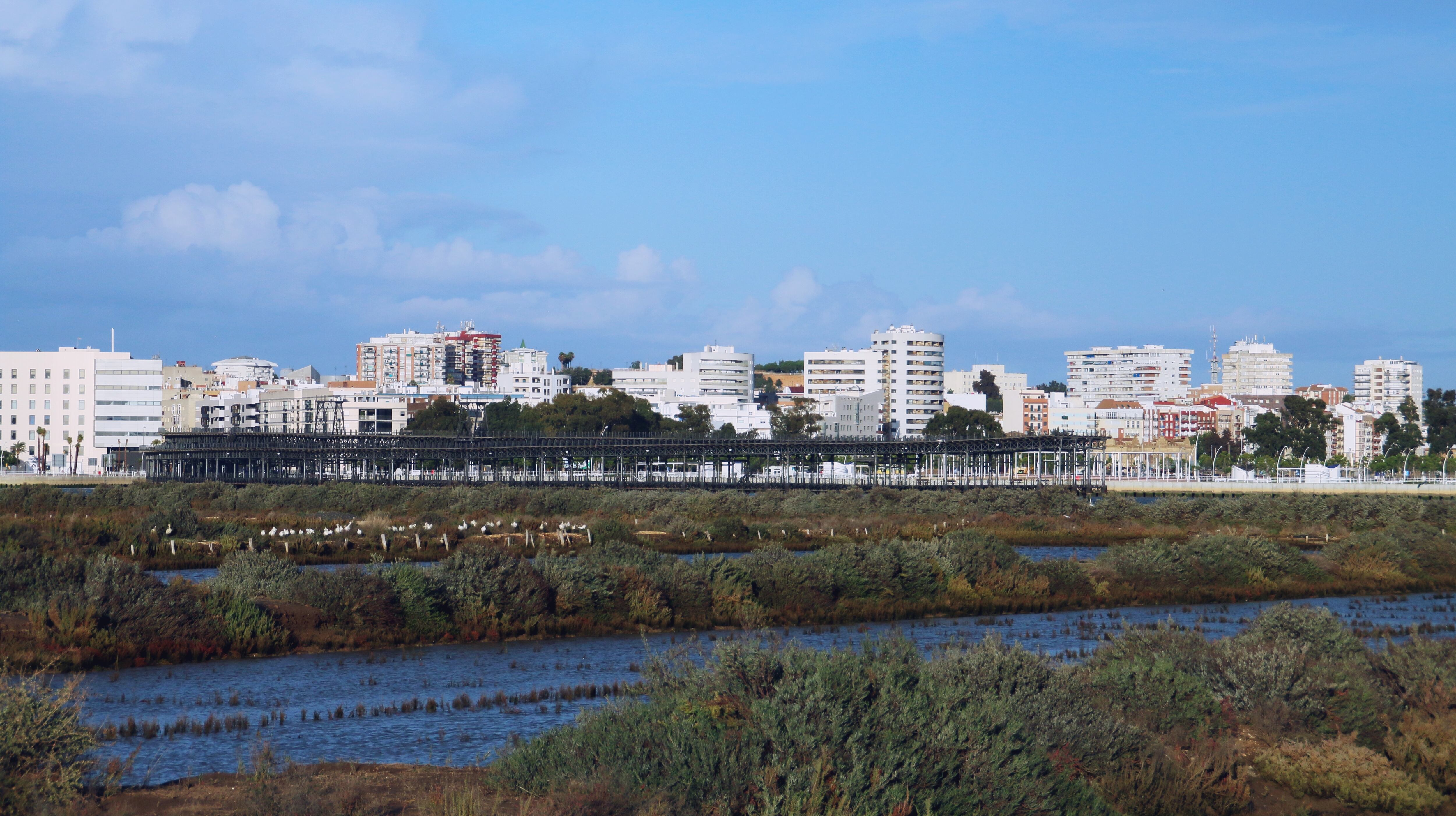 Mineral loading dock in the port of Huelva city.