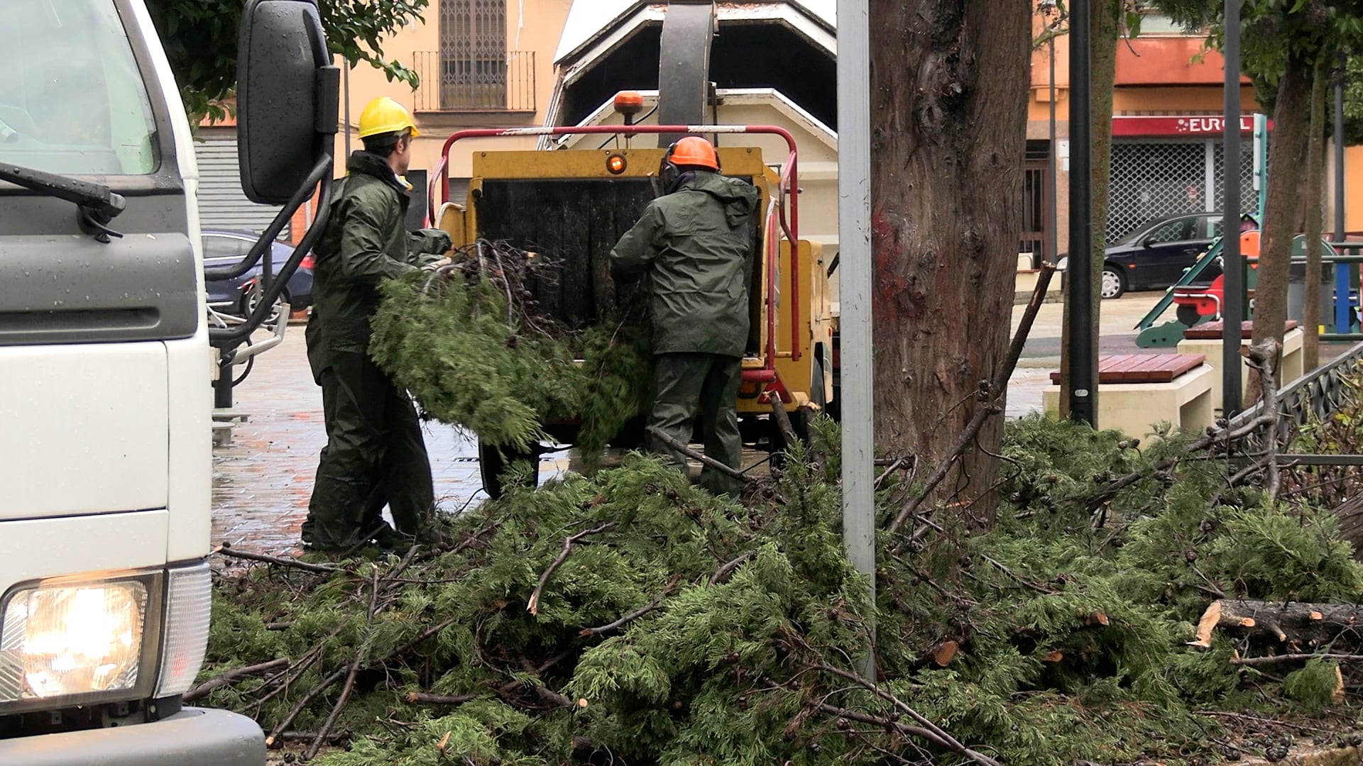 El personal de Mantenimiento en Úbeda, continúa con las labores de retirada de ramas y árboles caídos, mientras se prepara para el paso de una nueva borrasca