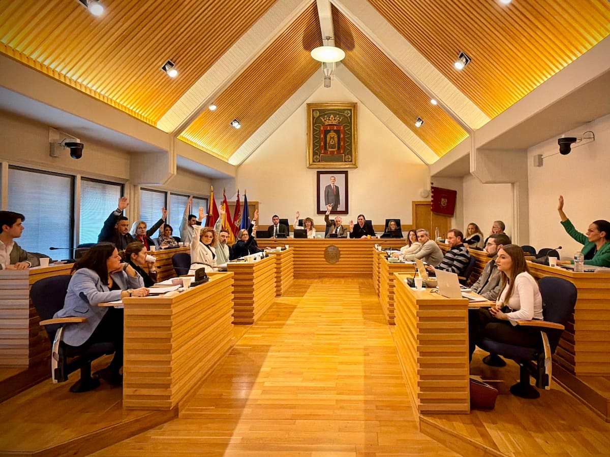 Cañizares salva el Presupuesto gracias a Cs y al concejal no adscrito