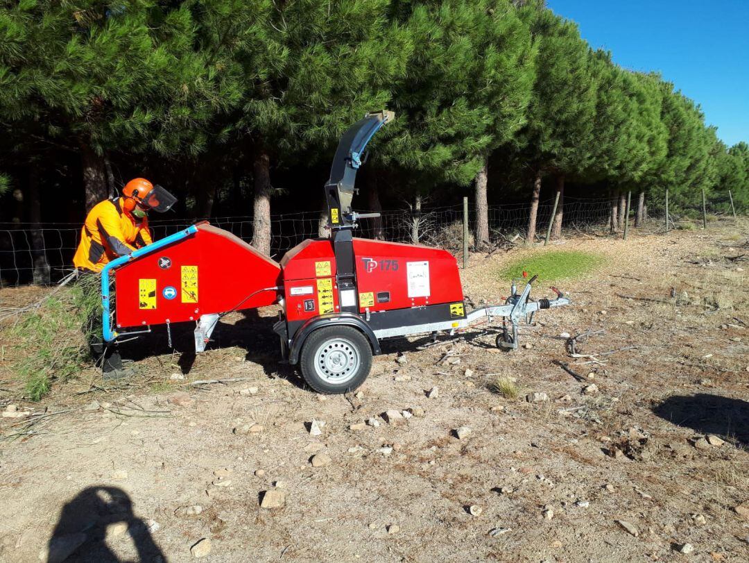 San Esteban de los Patos (Ávila)
