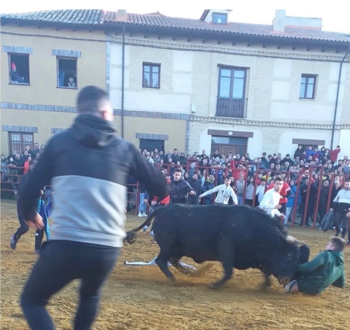 Surto en Paredes de Nava (Palencia)