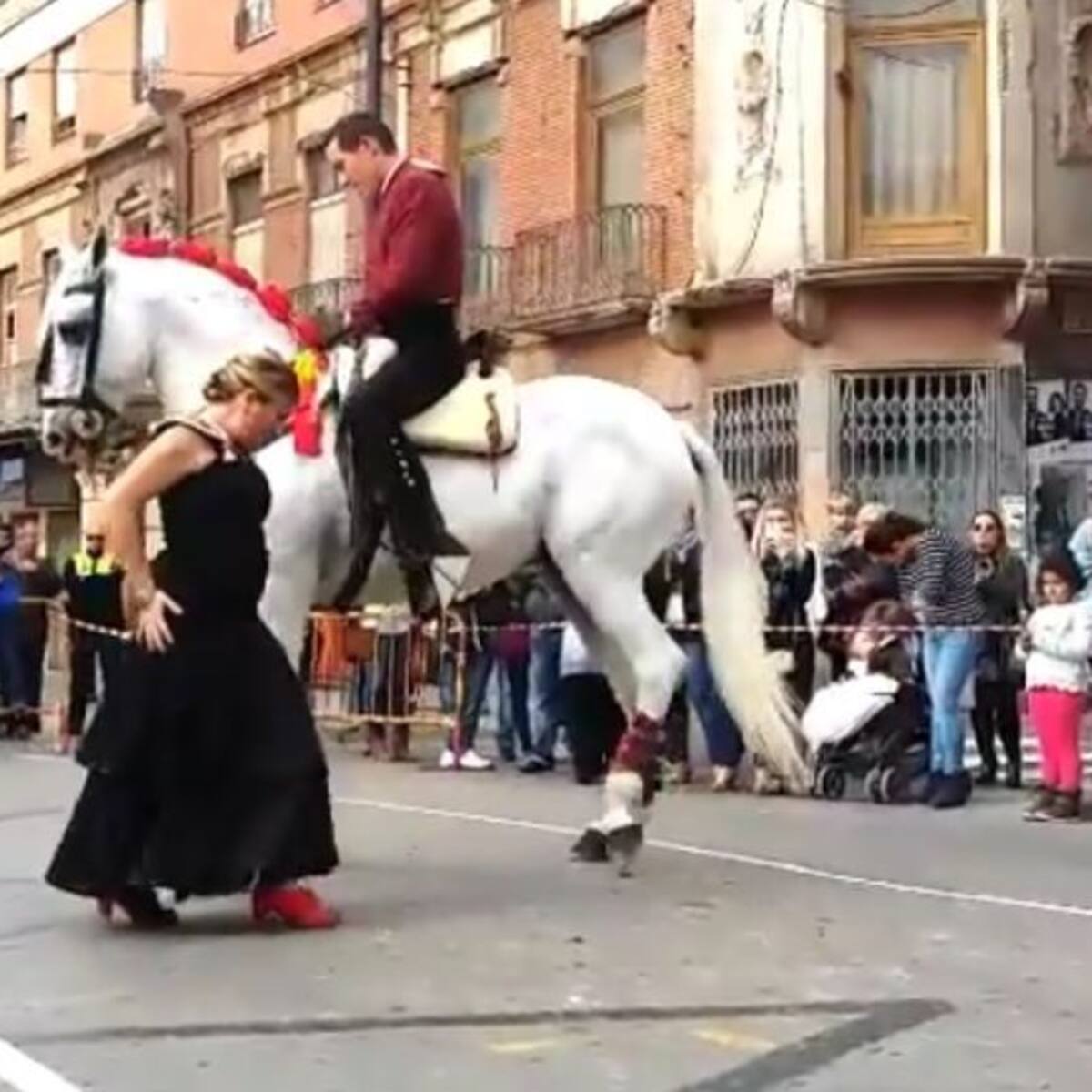 Los caballos también bailan