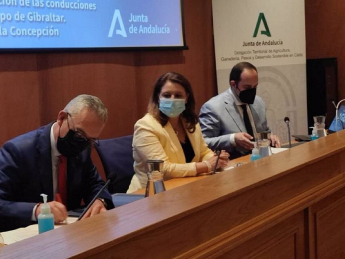 Lozano solicita reunirse con el Gobierno y la Junta para abordar los proyectos fotovoltaicos en la comarca