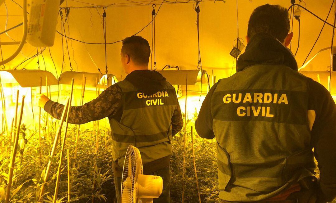 Droga incautada en Lopera.