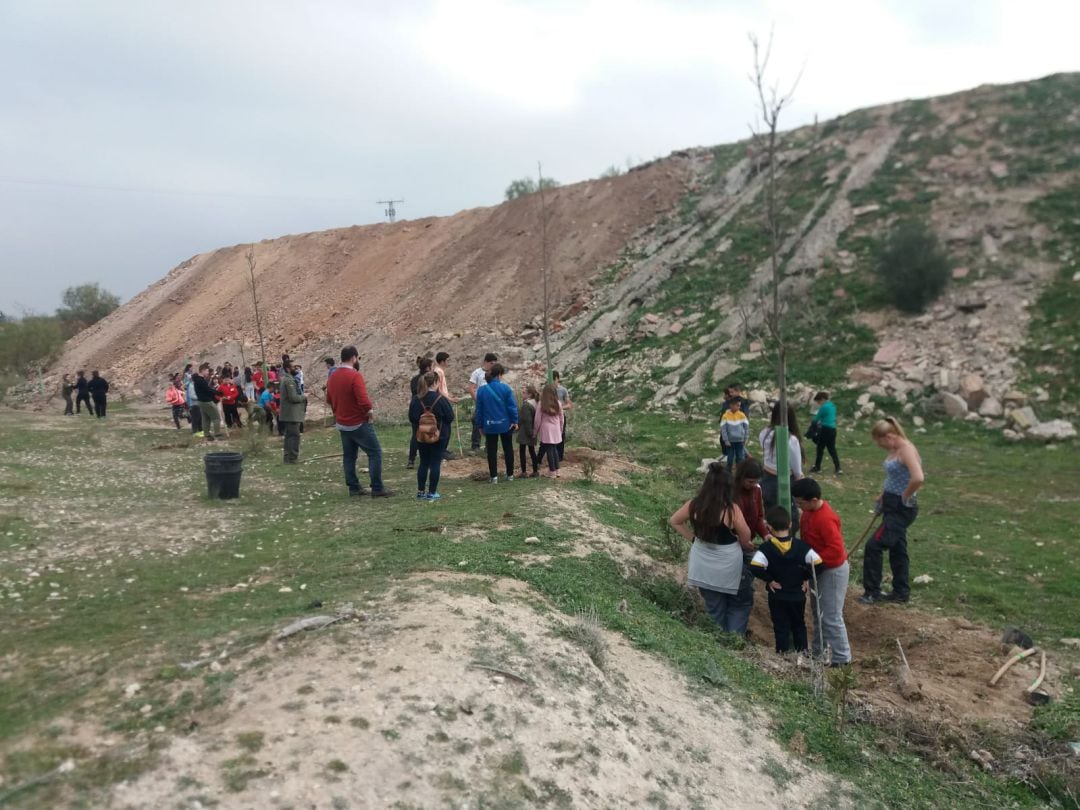 Los escolares plantando algunos de los ejemplares en el Barranco de la Arena