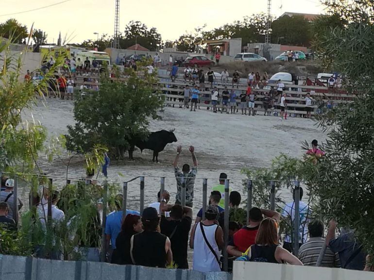 Suelta de vaquillas celebrada en El Moralet, donde resultó herido grave un hombre. Foto de archivo
