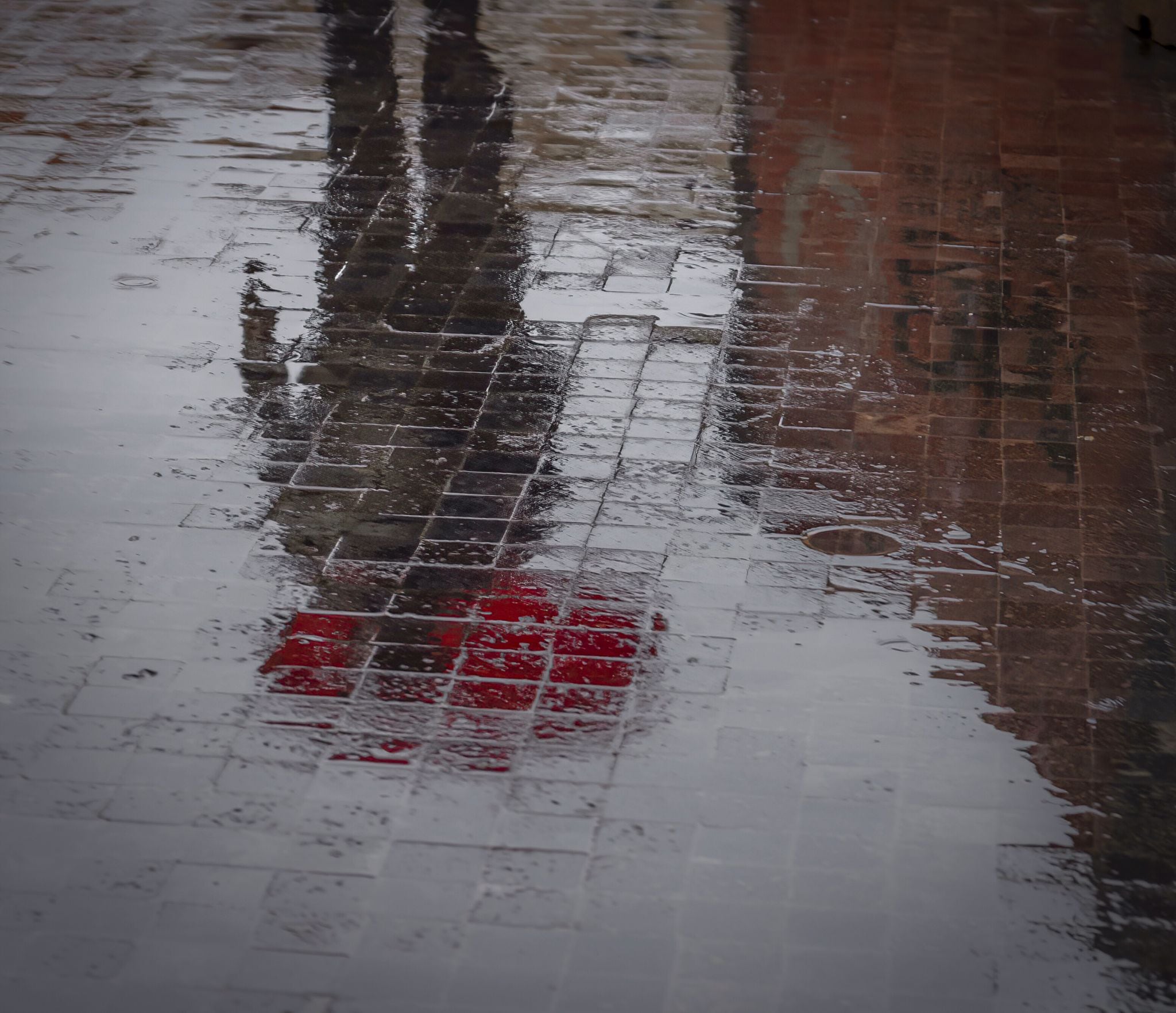 &#039;Cuestión de reflejos&#039;. Fotografía de Pepe Jara.