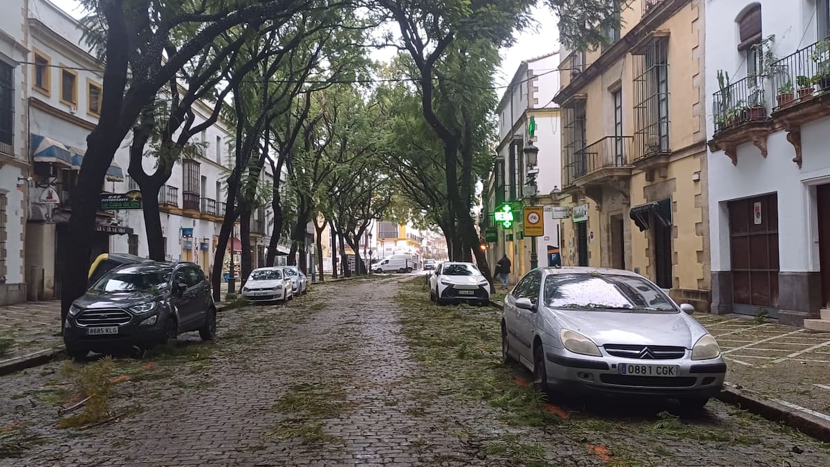 La borrasca Kristin deja más de 150 incidencias en Jerez y 30 calles cortadas