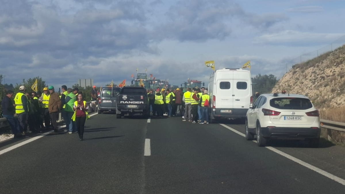 Manifestación agricultores: UPA, COAG, ASAJA y SCRATS