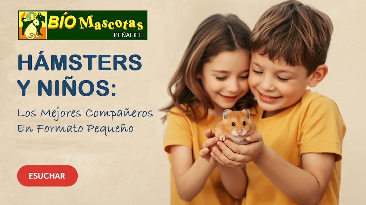 Los hámster, la mejor mascota para niños