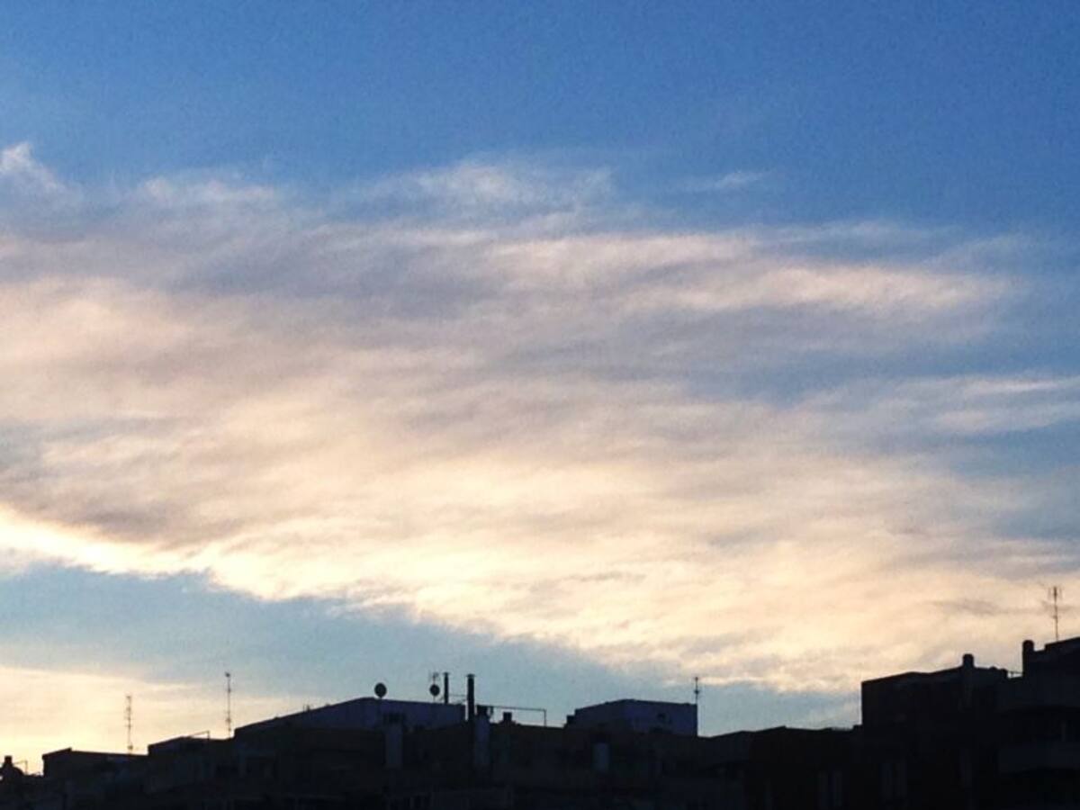 Boira pixanera i sol