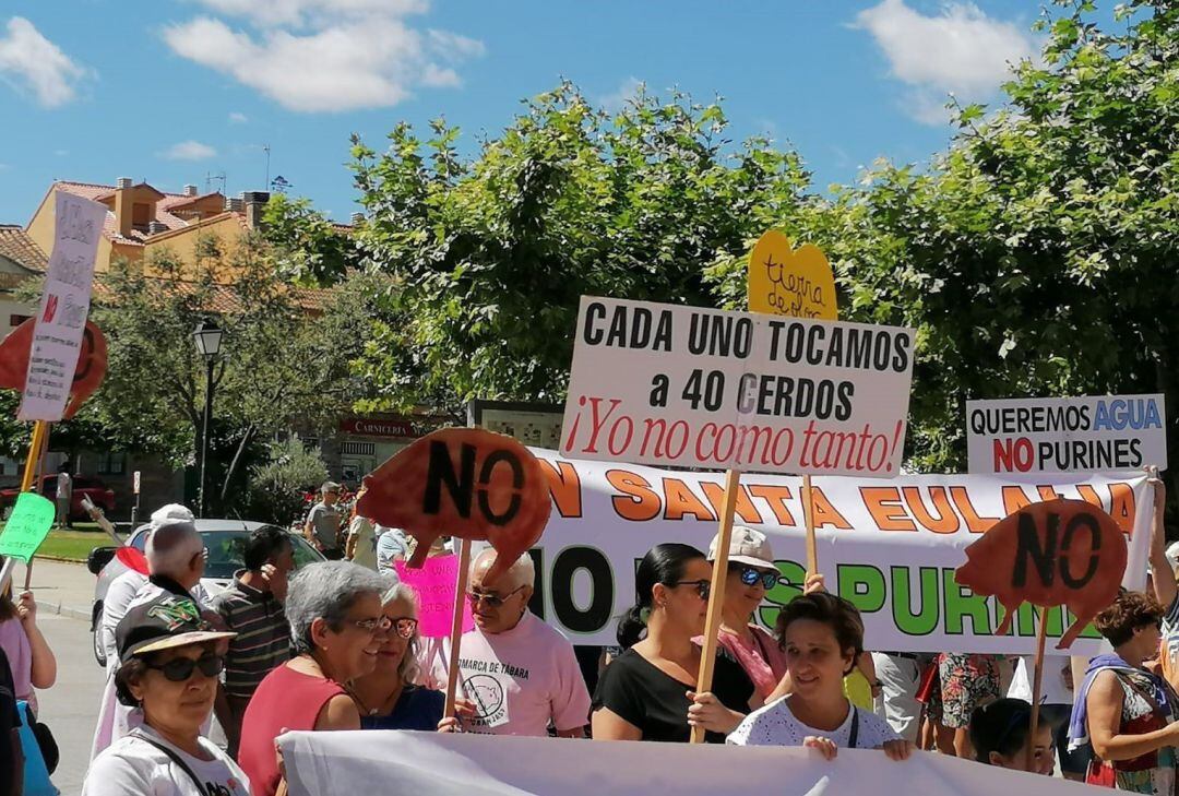 Un centenar de personas pide en Tábara (Zamora) el fin de las macrogranjas de cerdos