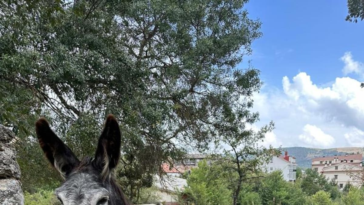 Entrevistamos a Manuel Pérez, gerente de Muntjack SL