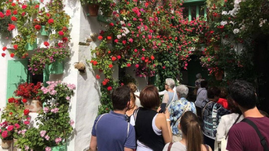 Los patios volverán a abrir sus puertas