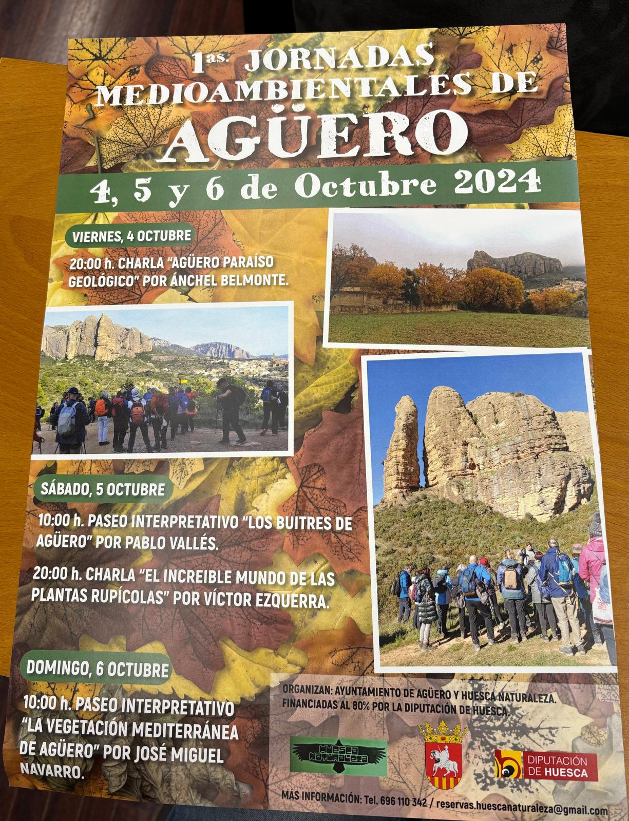 Cartel anunciador de las Jornadas Medioambientales de Agüero