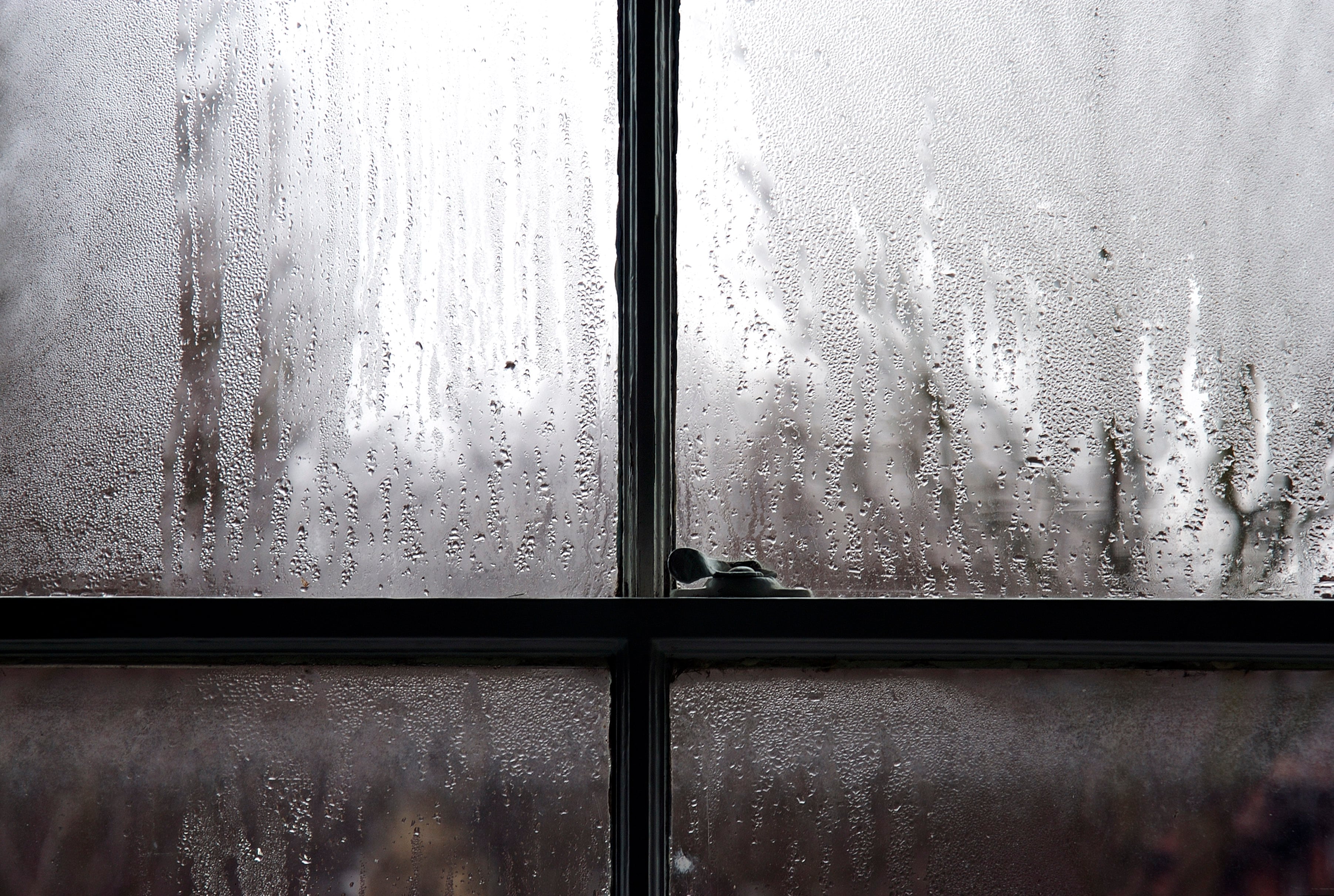 Ventanas de una casa.