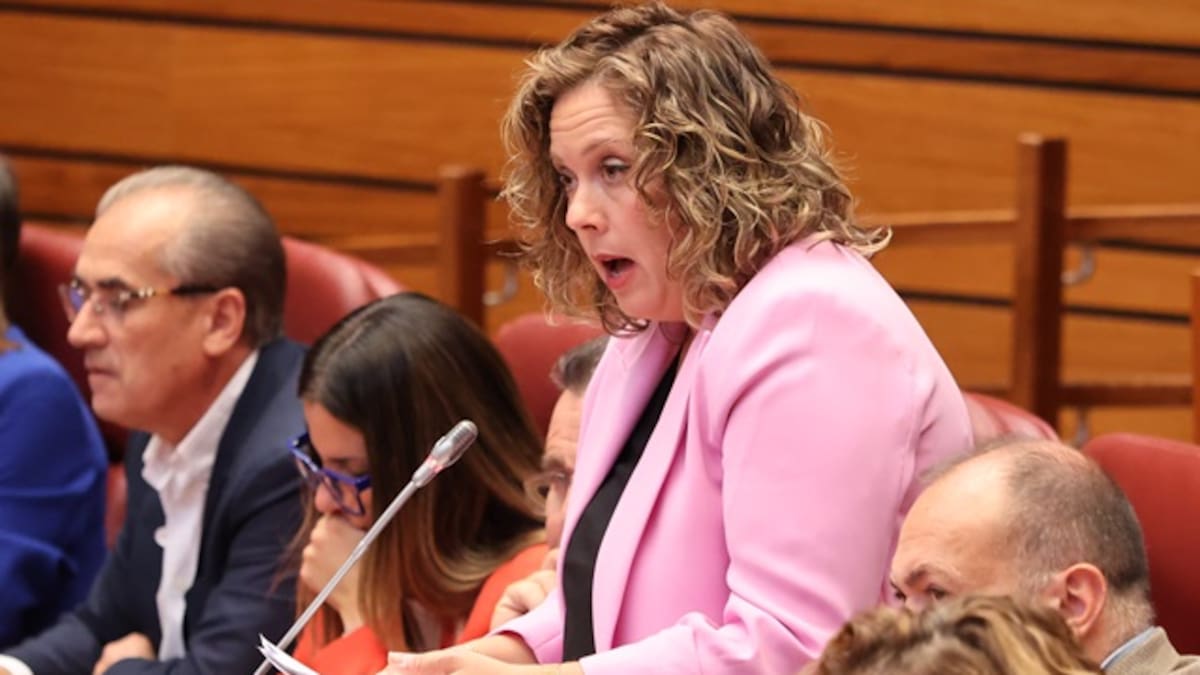 Moción del PSOE con Judith Villar procuradora por soria en las Cortes