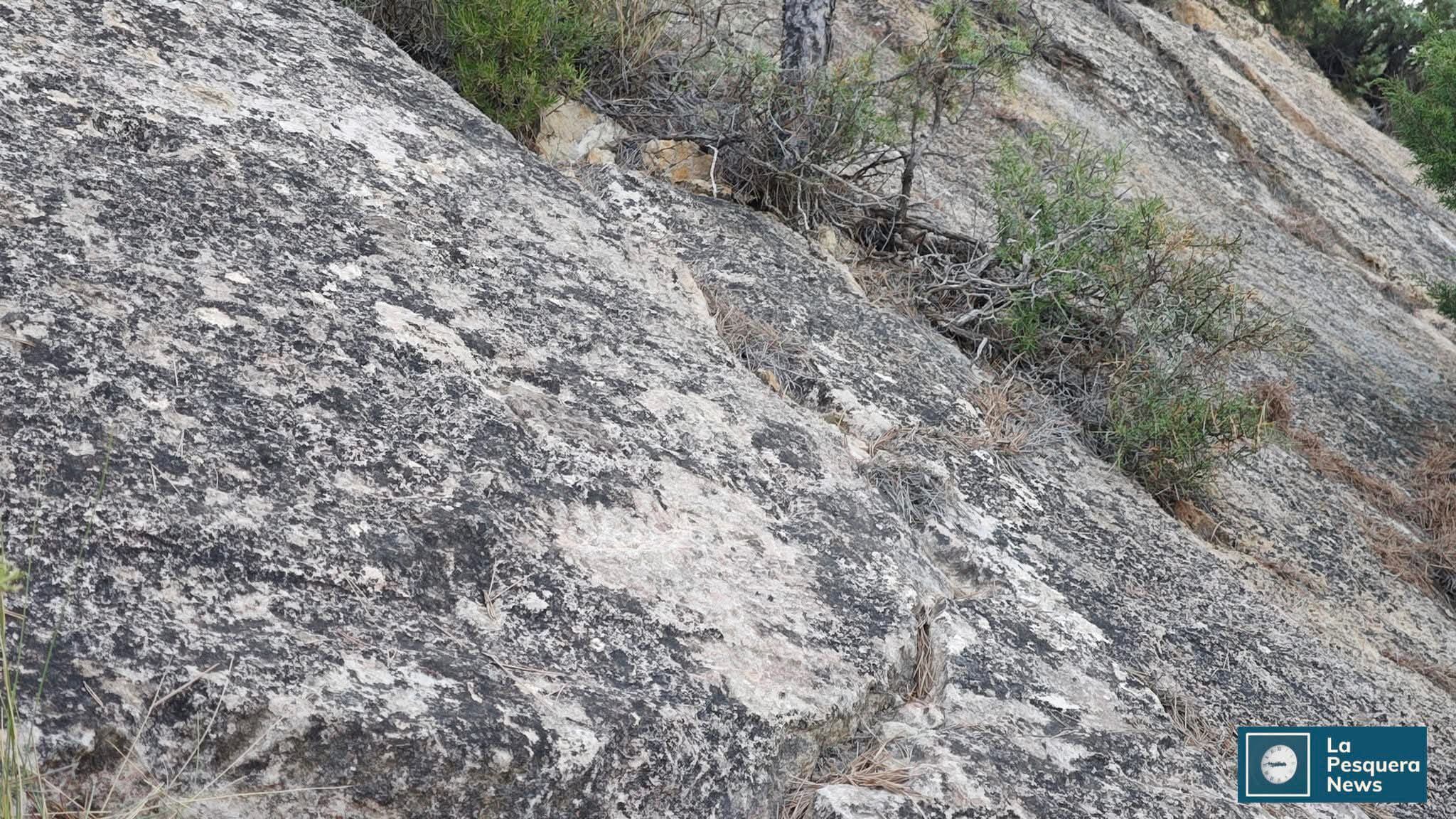 'Pies pintaos' de La Pesquera