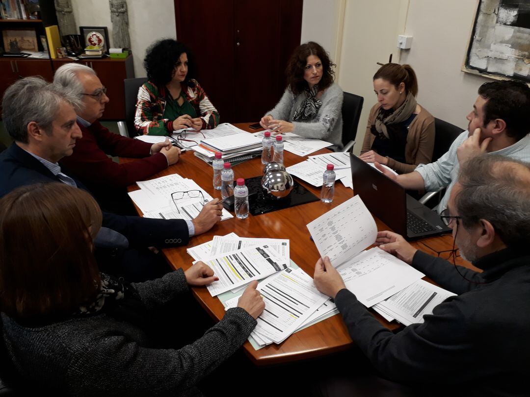 Mari Paz del Moral en la comisión IDEA.