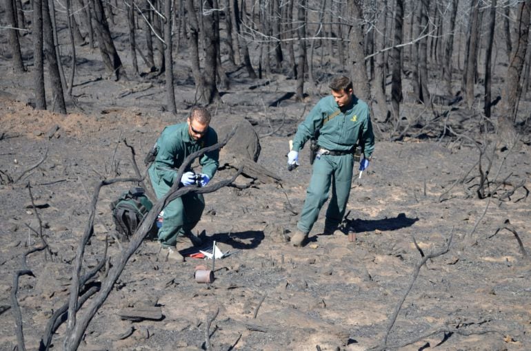 Guardias civiles durante su trabajo de investigación sobre las causas del incendio forestal que se originó el pasado jueves en la Sierra de Gata cacereña y que ha calcinado más de 7.800 hectáreas.