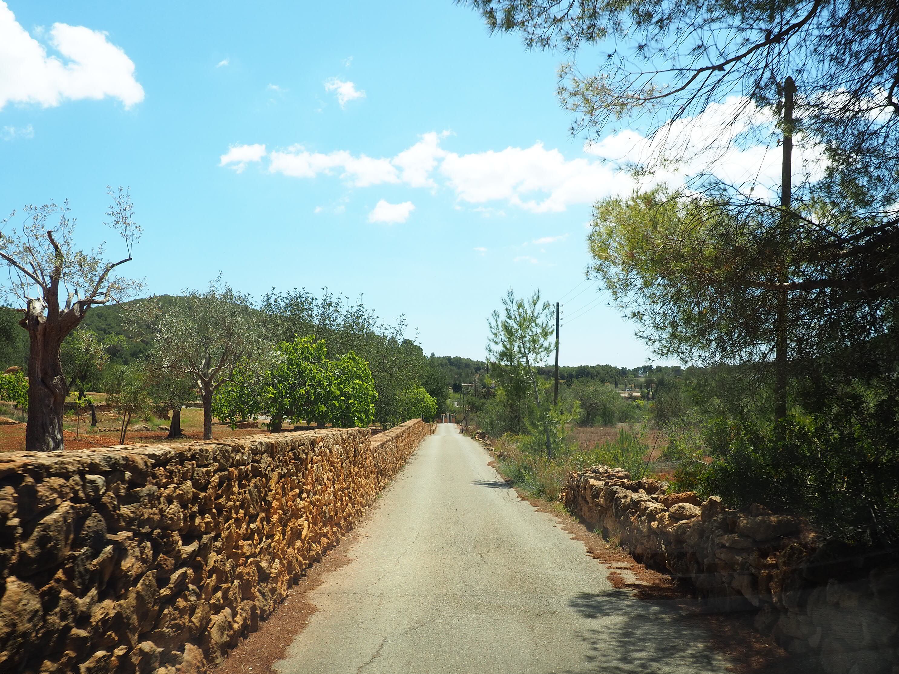 Un camino en Santa Eulària