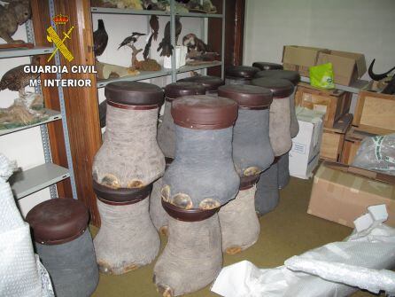 Taburetes y mesitas realizados con patas de elefante