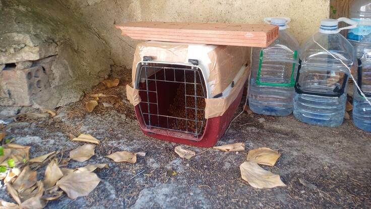 Alejandro González, concejal de Sanidad de Marbella