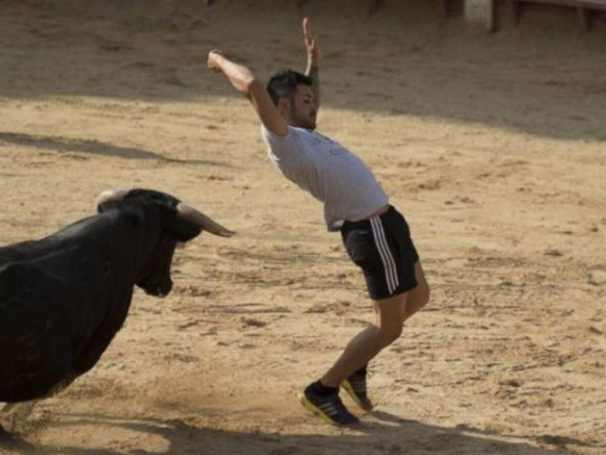 Parla contará con una capea en sus fiestas patronales