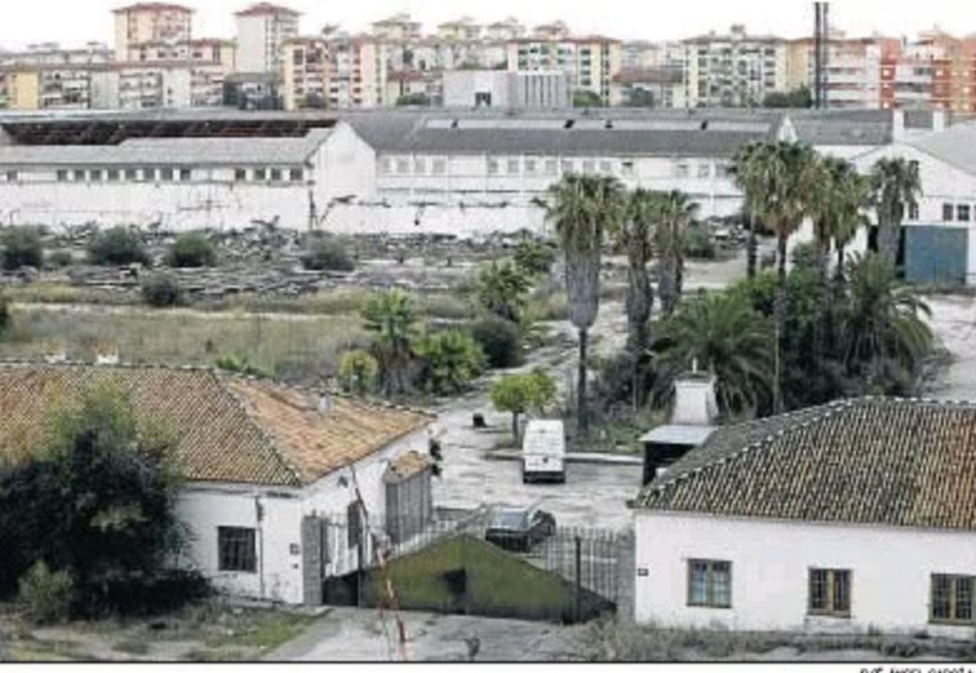 Terrenos de la antigua algodonera de Alcosa