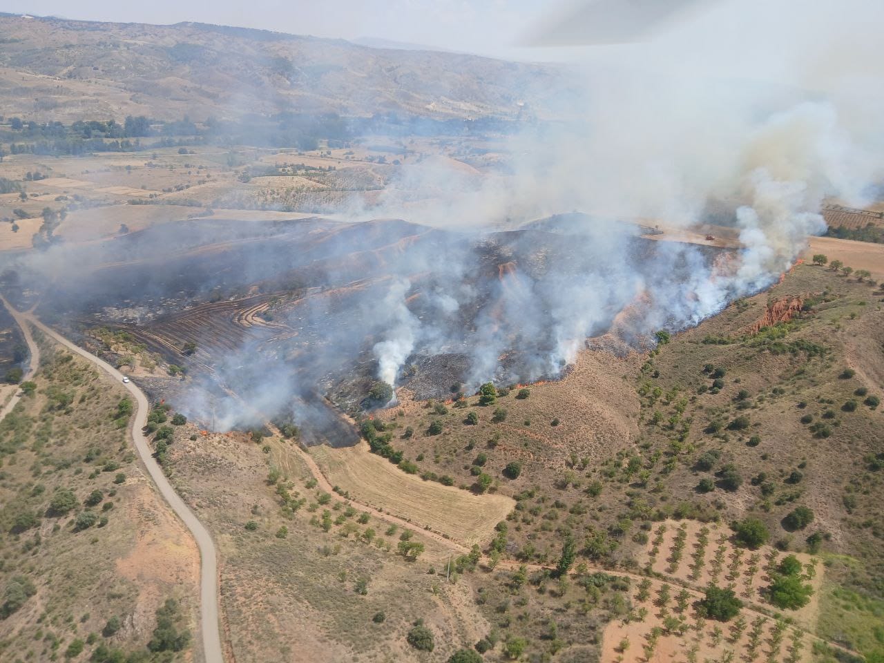 Incendio en el Encinar de Daroca (Zaragoza)