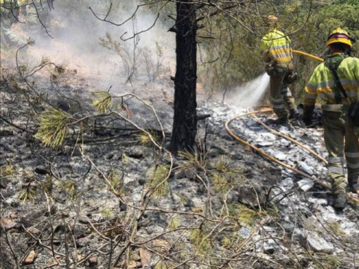 Planificar la defensa frente a los grandes incendios forestales