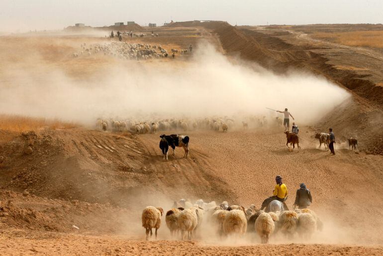 Desplazados iraquíes tratan de escapar del Estado Islámico en la localidad de Abu Jarboa durante los combates cerca de Mosul.