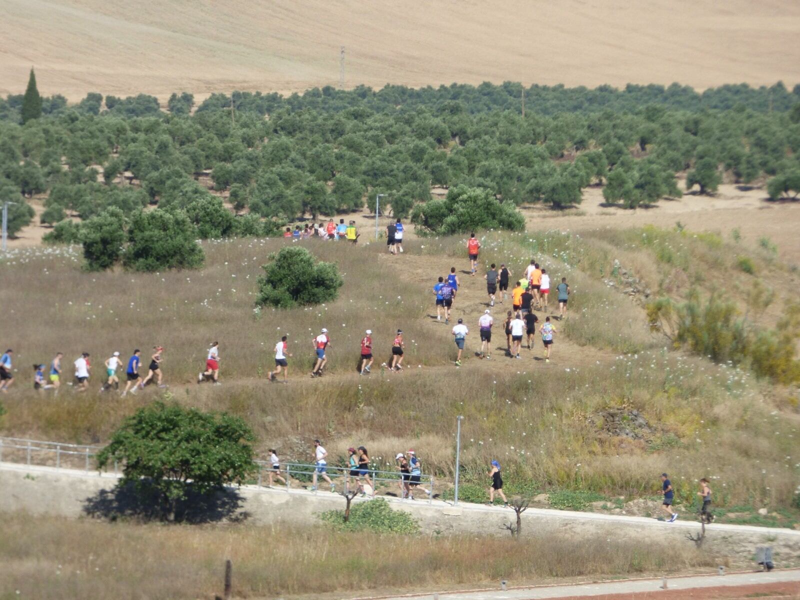 Imagen del VI Cross de Cástulo en Linares.
