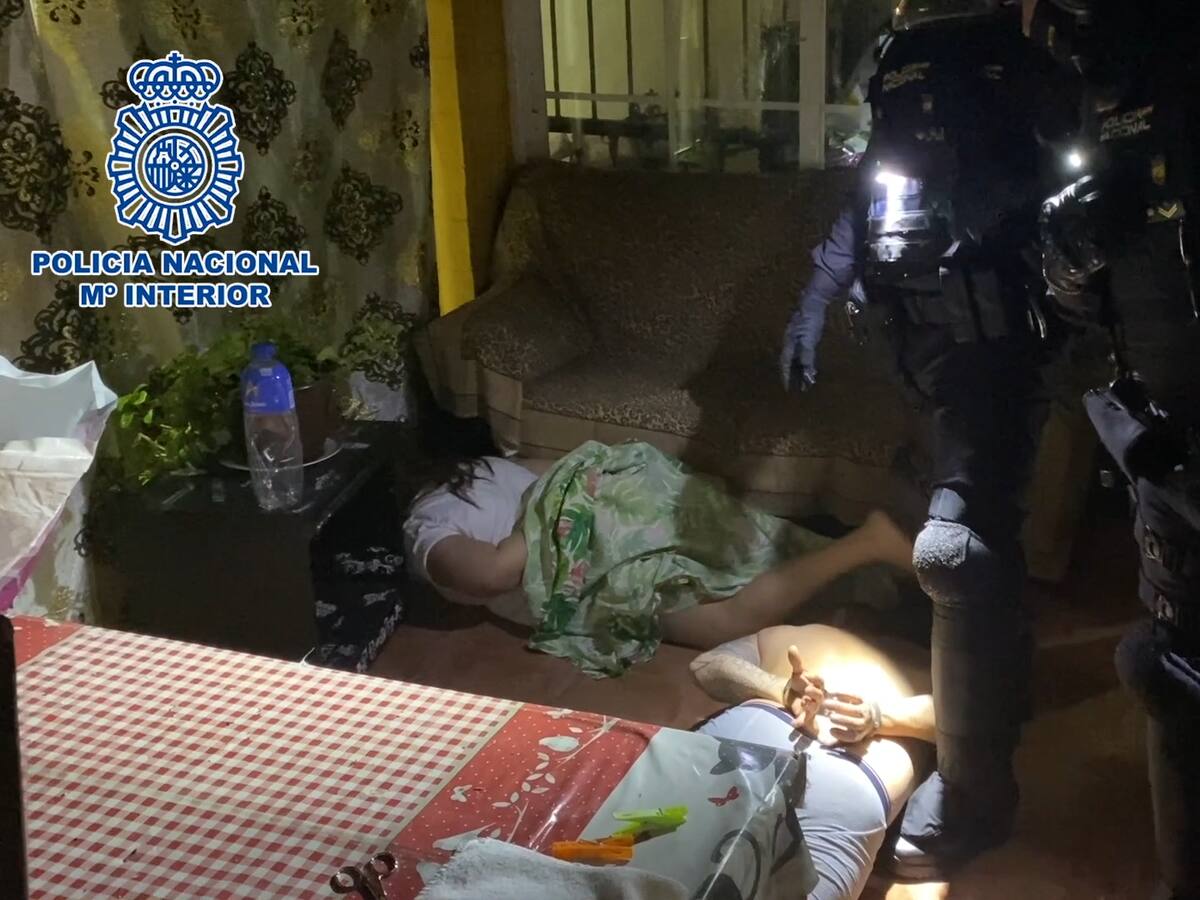 Desarticulada una organización criminal en Elche acusada de robar con violencia a traficantes haciéndose pasar por agentes