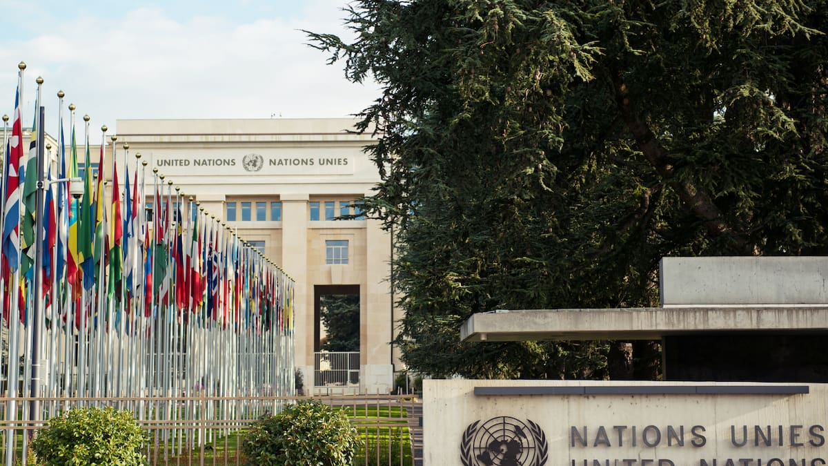 Najat El Hachmi: "Lobo pastor de ovejas"