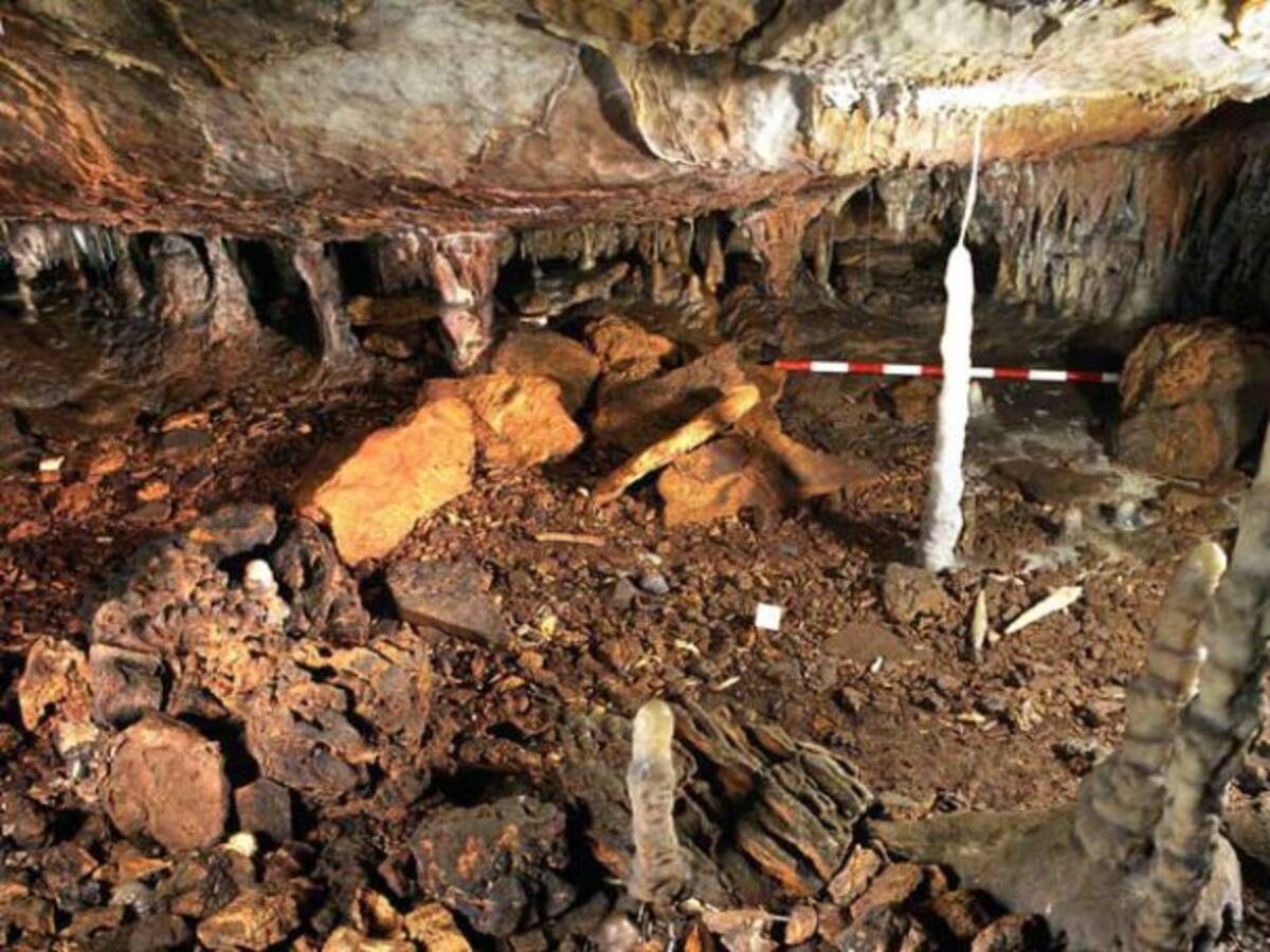 El ejecutivo quiere crear un museo de sitio en las inmediaciones de la cueva de La Garma