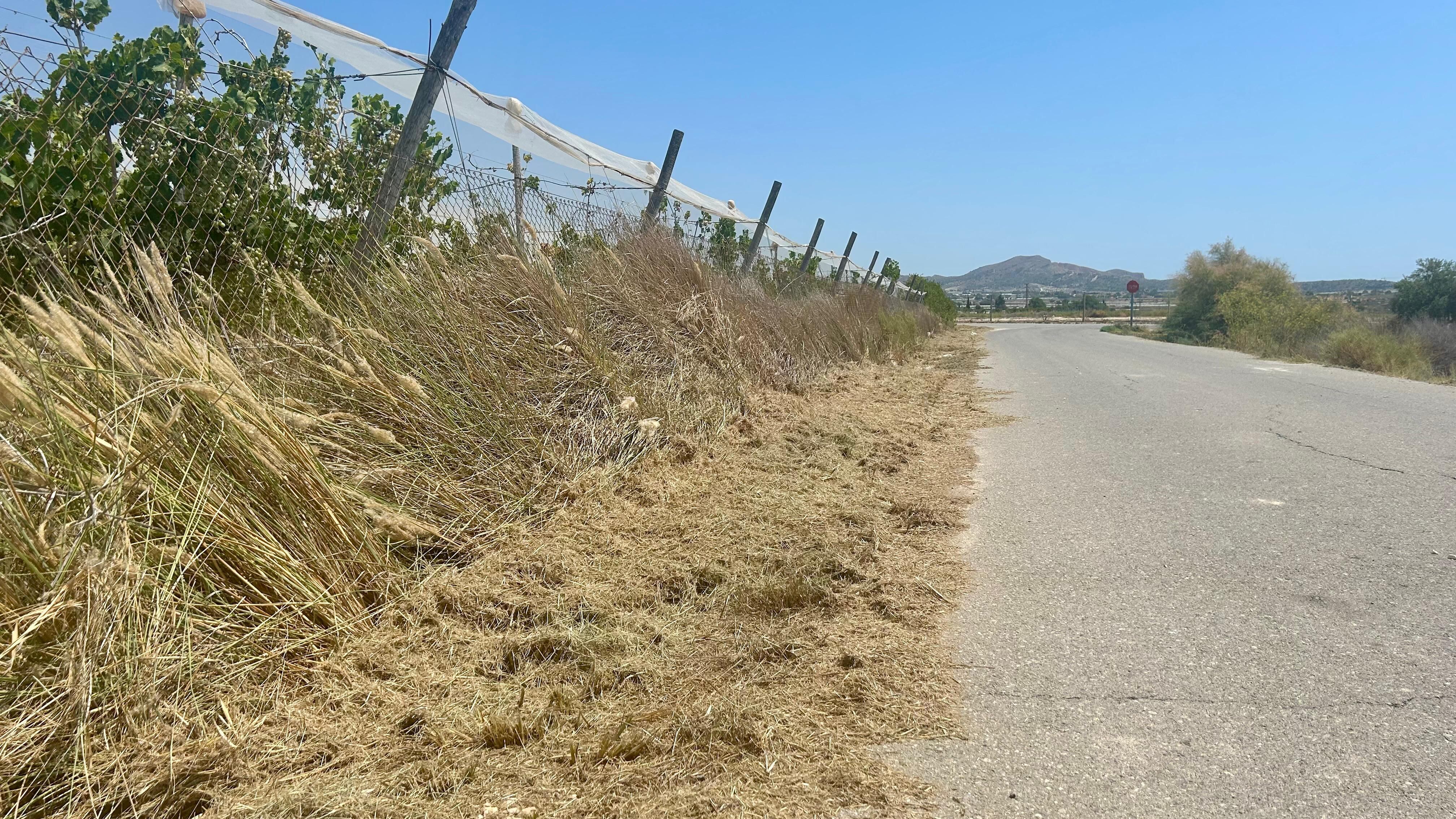 Esta intervención responde a la necesidad de mantener despejadas las vías rurales