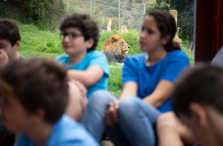 Campamentos de verano de Selwo Aventura y Selwo Marina para niños