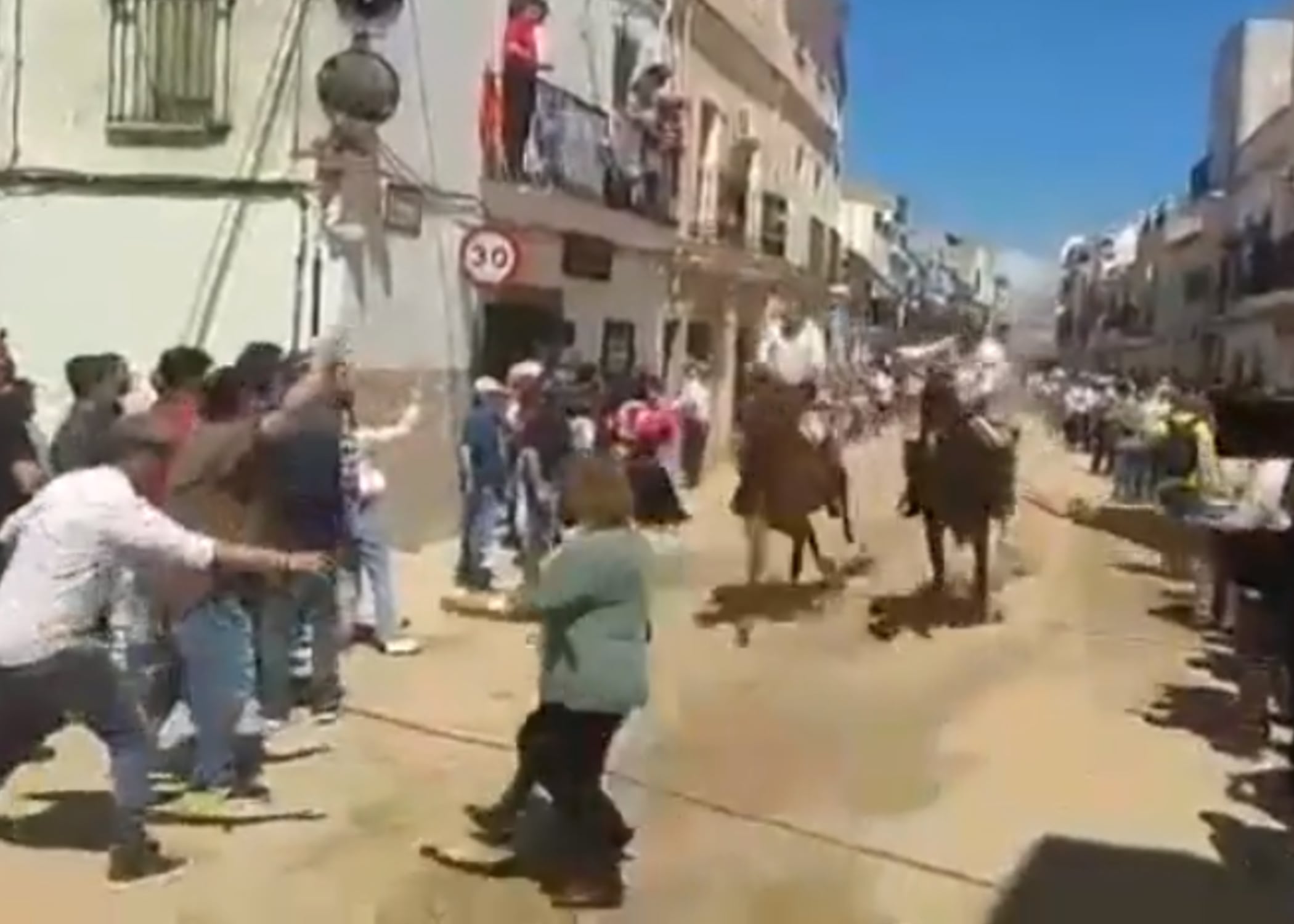 Momentos previos al accidente en las carreras de caballos del Día de la Luz