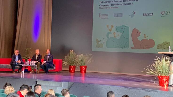 Entrevista en La ventana al director general de agricultura Roger Llanes