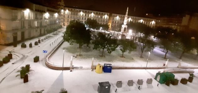 Plaza de la Merced de Málaga este jueves