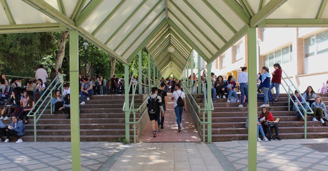 Estudiantes esperando para un examen de la Selectividad en las instalaciones de la Universidad de Jaén.