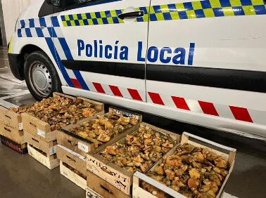 Mercancía decomisada