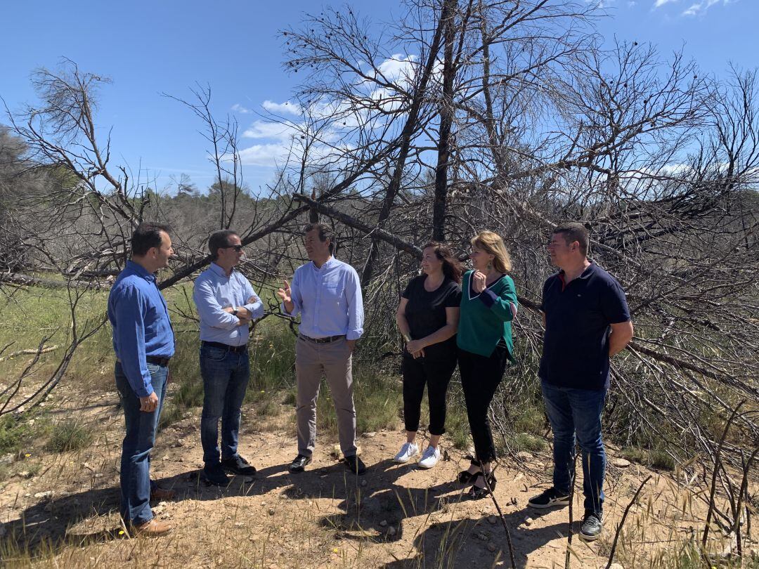 Company en Formentera