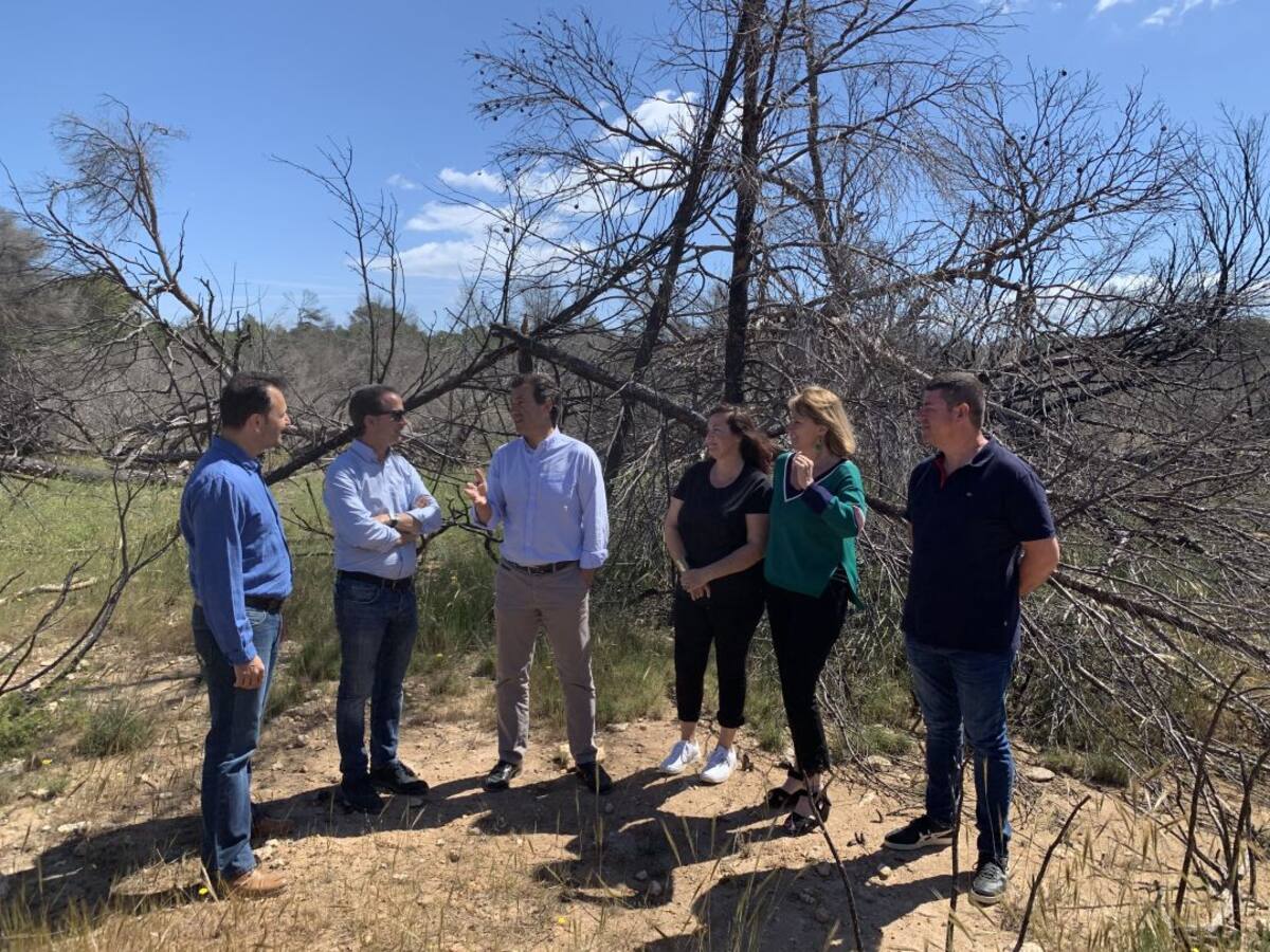 Company califica de "vergonzosa" la situación de Cala Saona tras el incendio de hace dos años