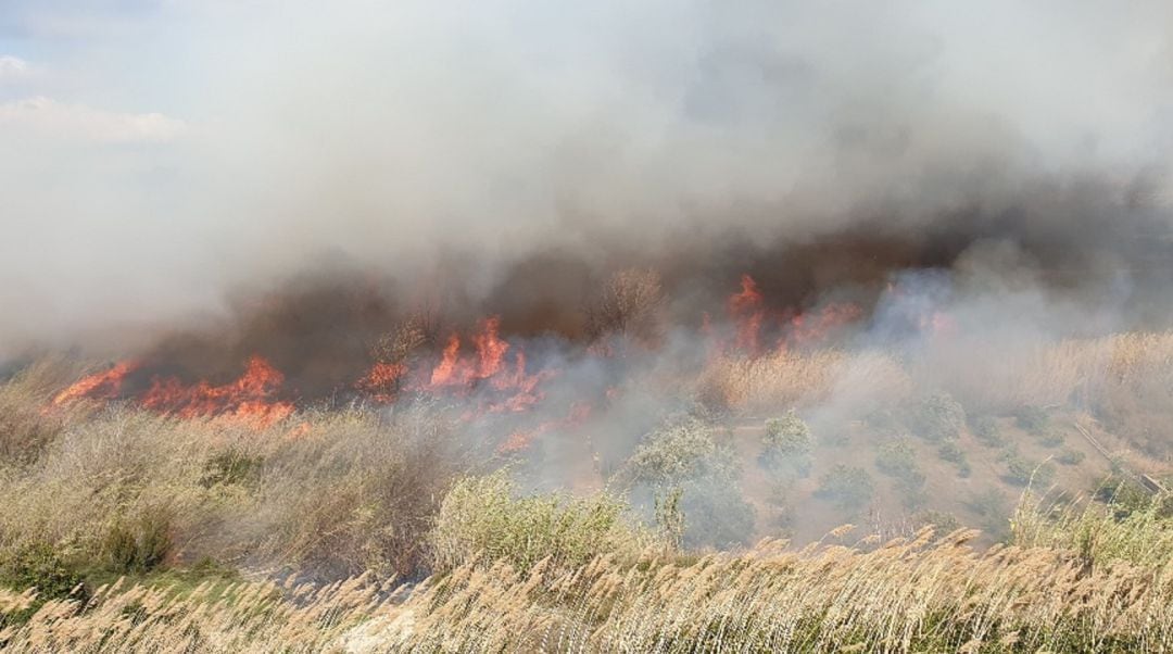 Incendio en el Parque Fluvial del Túria