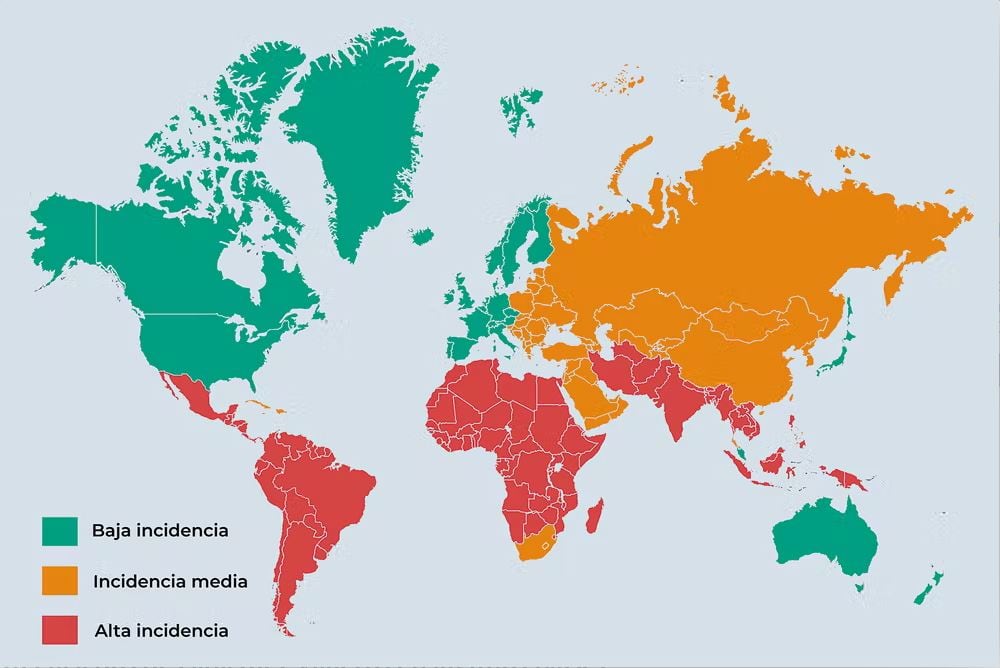 En las zonas marcadas como ‘de alto riesgo’, la incidencia de la diarrea del viajero supera el 20%. En las zonas de riesgo intermedio, la incidencia oscila entre el 8 y el 20%. Y en las zonas de bajo riesgo, está por debajo del 8%. Leung AKC, Leung AAM, Wong AHC, Hon KL. Travelers&#039; Diarrhea: A Clinical Review. Recent Pat Inflamm Allergy Drug Discov. 2019, Author provided