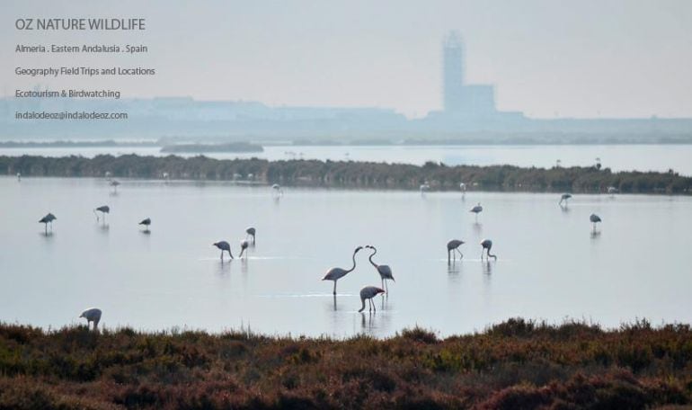 El GEM, publica un calendario con motivo del 30 aniversario del Parque Natural.